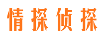 日土侦探